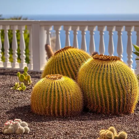 Stunning With Breathtaking Ocean View Puerto Rico (Gran Canaria)
